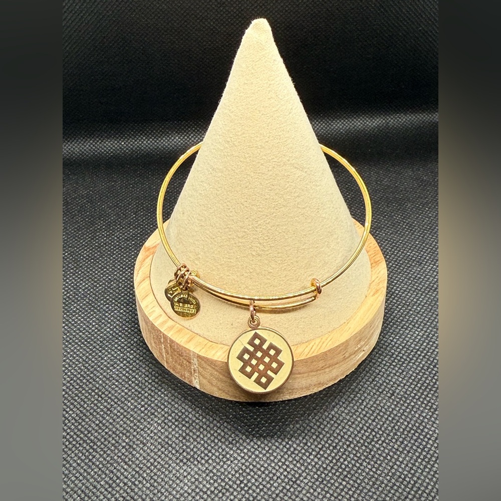 💛ALEX AND ANI💛Color Infusion Endless Knot in Shiny Gold/GC